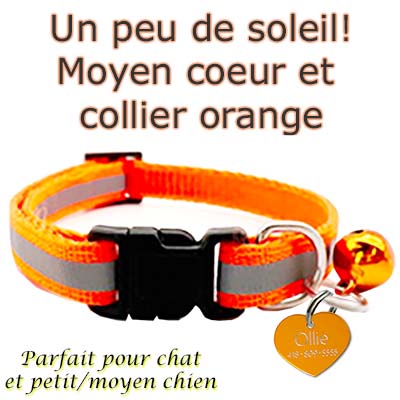 collier et medaille pour chat