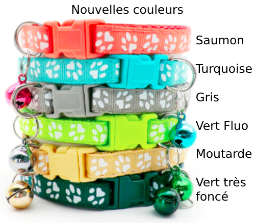 petit collier pour chat et chien