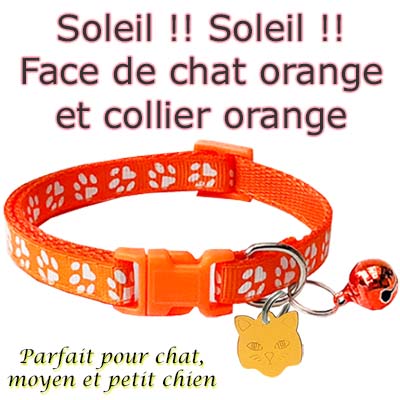 medaille pour chat petit chat