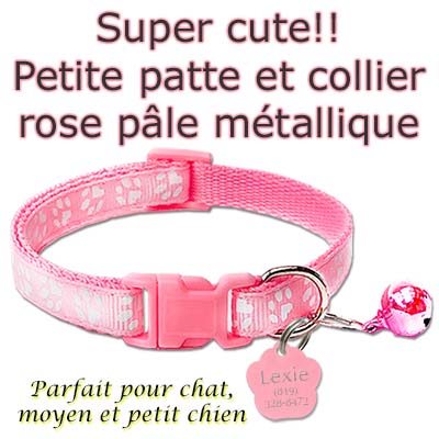 medaille pour chat petit chat