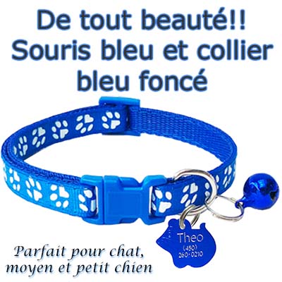 medaille pour chien petit coeur