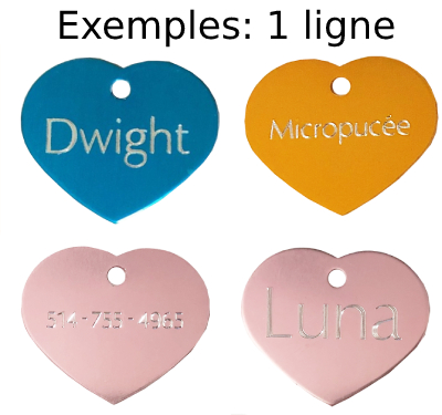 medaille coeur grav&eacute;e pour chat