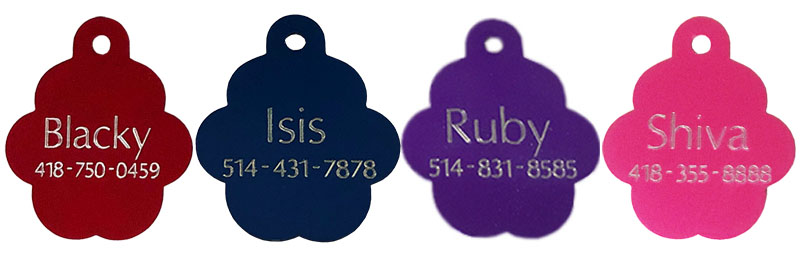 medaille pour chien chat petite patte