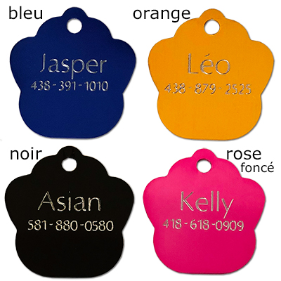 medaille patte pour chat