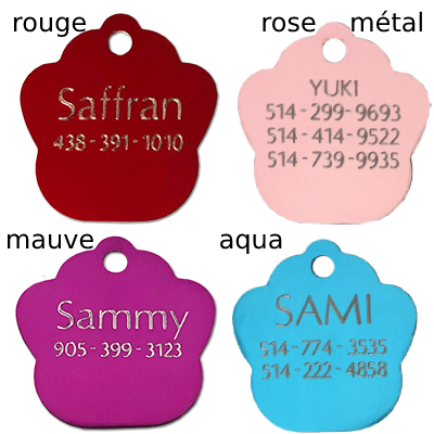 medaille patte pour  chien