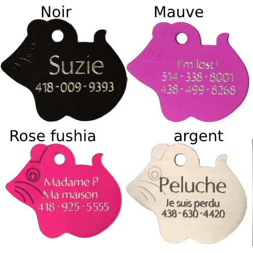 medaille pour chat petit chat petite souris