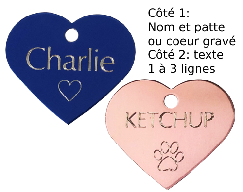 medaillon format coeur pour chien ou chat