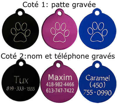 medaille pour chien chat petit cercle avec face de chat
