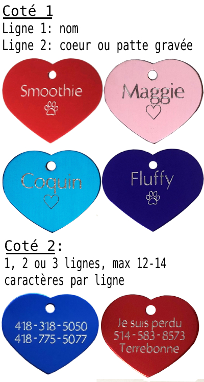 medaille pour chien chat petit cercle