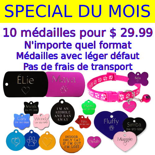 medaille pour chien chat petit cercle