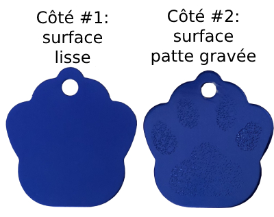 medaille pour chien chat patte
